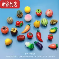 真智力仿真蔬菜模型摆件娃娃屋迷你小摆件玩具西瓜辣椒玉米萝卜柠檬 22个全要了仿真食物