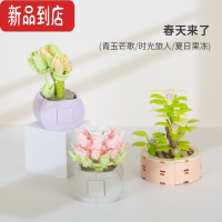 真智力佳奇花束迷你多肉仿真绿植盆栽女孩拼插积木摆件玩具生日礼物 套餐4 春天来了3款仿真食物