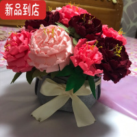 真智力 母亲节手工diy不织布免剪仿真花盆栽感恩礼物装饰花束材料包 牡丹花盆栽(材料包)仿真食物