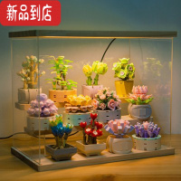 真智力迷你小盆栽积木花束拼装儿童玩具女生迪库仿真花朵摆件 多肉12款+亚克力灯光展示盒仿真食物