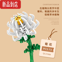 真智力花束仿真花积木玫瑰花康乃馨送女生礼物情人节小颗粒拼装玩具益智 2336B菊花-白色 哲高仿真食物