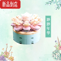 真智力JAKI佳奇积木拼装樂高多肉积木花仿真小盆栽桌面摆件女孩玩具礼物 JK2710-4 渺渺年华[78颗粒]仿真食物