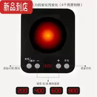 真智力儿童过家家切水果玩具套装切切看儿童仿真声光厨房玩具蔬菜切切乐 单电磁炉仿真食物