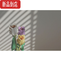 真智力国产积木鲜花花束 郁金香玫瑰永生插花积木玩具女孩益智樱花树屋