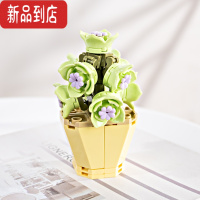 真智力多肉植物小盆栽永生花卉拼装益智玩具积木小红书送礼物女生