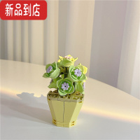 真智力*漂亮的小姨妈* 可爱少女心盆栽多肉积木拼插积木迷你diy礼物