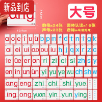 真智力拼音字母磁力贴教学黑板磁铁贴教具汉语拼音字母表磁性贴片卡片吸铁石一年级专用教师用教学用具老师用品贴墙 大号磁性玩具