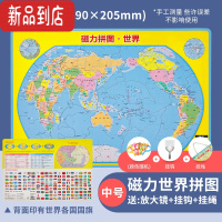 真智力磁力中国和世界地图拼图3到6岁以上小学生专用儿童益智磁性玩具 [中号]世界地图(送放大镜+挂钩+挂绳)