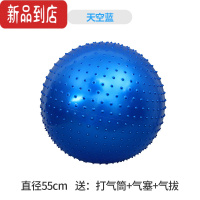 真智力幼儿园颗粒大龙球儿童感统训练器材加厚瑜伽球家用早教按摩球玩具