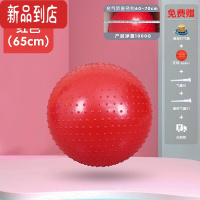 真智力幼儿园颗粒大龙球儿童感统训练器材加厚瑜伽球家用婴儿按摩球玩具