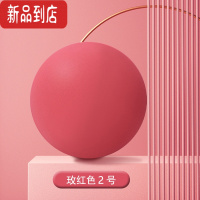 真智力球儿童7号篮球大号幼儿园拍拍投篮训练室内儿童球类玩具