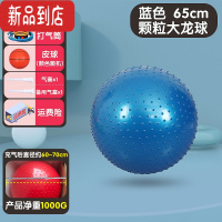 真智力感统训练器材家用大龙球儿童运动前庭失调平衡早教瑜伽按摩球玩具