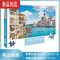 真智力一千块1000片拼图儿童益智成人版减压男女孩系8一10岁6岁以上 威尼斯