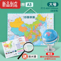 真智力 中国地图拼图世界磁力大号地图儿童初中小学生成人益智玩具 大号磁性中国地图/赠720°万向地球仪(直径10.6cm