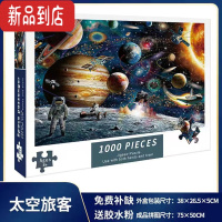 真智力一千块拼图1000片儿童益智成人减压男女孩礼物玩具6岁以上8一10岁 太空旅客