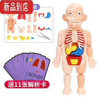 真智力儿童益智手工拼装拼图3到6岁以上4女孩7一10智力男孩玩具8动脑 科教人体器官模型拼装[ 送认知卡]