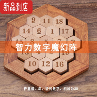 真智力伤脑筋十一块拼图老人解闷益智小游戏防痴呆成人儿童智力开发玩具 伤脑筋之蜂窝迷宫 (无说明书)