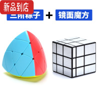 真智力 三阶粽子魔方 炫亮彩色 异形三阶魔粽 益智玩具 三阶粽子+镜面魔方 粽子魔方