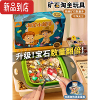 真智力淘金沙玩具猎人儿童矿石挖宝石考古挖掘寻宝化石宝藏女孩盲盒男孩
