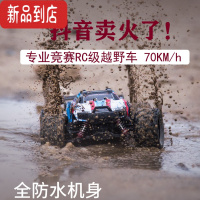 真智力抖音攀爬高速赛车玩具男孩漂移RC专业越野跑车四驱燃油防水70km/h