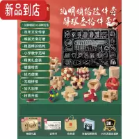 真智力九连环益智玩具儿童高难度智力解环扣全套装成人孔明锁鲁班锁32套 [手提礼盒款]解环30件+解锁16件(赠袋+视频+