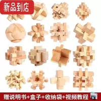真智力孔明锁鲁班锁全套智力解环套装木制小学生儿童九连环益智套 鲁班锁-盒装16件套