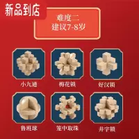 真智力奇艺孔明锁鲁班锁套装益智玩具成年全套高难度小学生儿童智力玩具 六件套B款(建议7-8岁选购)