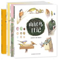 铃木守的鸟世界 套装全4册 儿童绘本 山居鸟日记+鸟巢的智慧+鸟巢的秘密+鸟巢的故事