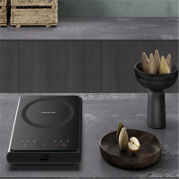 九阳电磁灶C22-F4