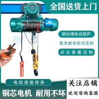 钢丝绳电葫芦380V阿斯卡利吊机1_2_3_5_10吨起重机电动葫芦 10吨9米_精品型保终身_遥控_
