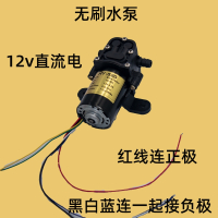 电机阿斯卡利12V伏直流无刷小水泵隔膜泵微型自吸泵小抽水机24小时用 xxx
