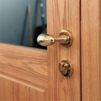 门锁pvd金色轻奢室内阿斯卡利房门锁鸭鹅蛋形把手黄古铜磁吸门锁