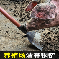 阿斯卡利粪铲刮粪铲粪养殖场清粪铲粪锹铲子农用清洁铲推鸡粪鸽粪猪粪