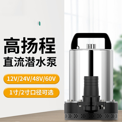 阿斯卡利直流潜水泵12V24V48V60V家用电瓶车抽水泵电动车农用灌溉抽水泵