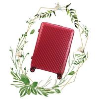 教廷卫队WISSEGUARD 新款拉杆箱纯PC磨砂耐磨旅行箱斜纹抗撞行李箱