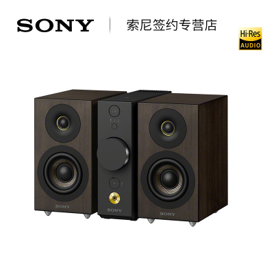 Sony/索尼 CAS-1 电脑音箱台式USB解码无线蓝牙耳放高保真音响 桌面微Hi-Fi音乐系统 无线蓝牙