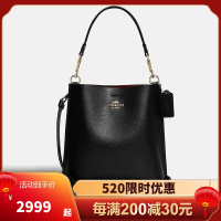 蔻驰(COACH)奢侈品女包 22年新款Mollie Bucket Bag 22小号水桶包 经典斜挎手提包女CA177