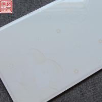 家装主材 高档不透水瓷砖300x600厨房 卫生间内墙砖釉面砖FP36060壹德壹