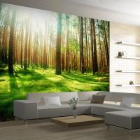 3D立体风景壁画大型绿色阳光森林壁纸壁画客厅电视沙背景墙壁纸壹德壹