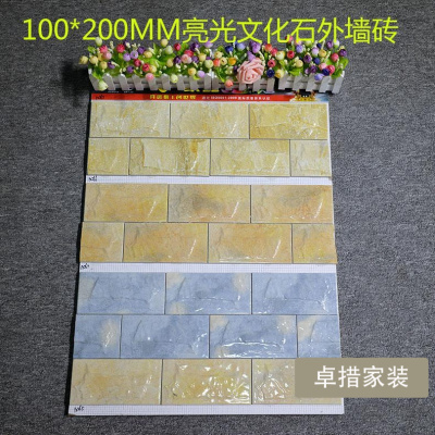 外墙砖100x200别墅室外阳台墙面砖自建房围墙瓷砖釉面喷墨工程砖壹德壹