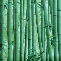 3D竹子纹中式农家乐玄关墙纸客厅餐厅饭店包厢酒店走廊背景墙壹德壹