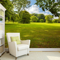 立体中式公园自然风景壁纸电视背景墙纸壁画客厅沙卧室大型壁画壹德壹