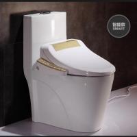 智能马桶自动即热清洗烘干除臭超漩式坐便器墙后排250/350坐便器B款地排水智能盖板(全壹德壹