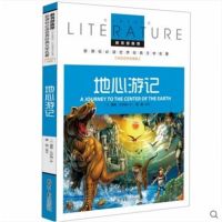 地心游记 教育部新课标必读 世界经典文学名著 名校名师全解版 红婴童图书 默认系列故事书