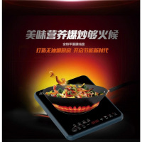 九阳电磁灶C21-SC24