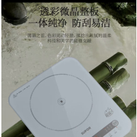苏泊尔电磁炉C22-IA08