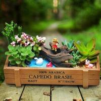 (含盆)创意多肉植物组合套装家居办公室桌面绿植盆栽微景观diy送女朋友生日礼品生活日用园艺用品花卉绿植盆栽