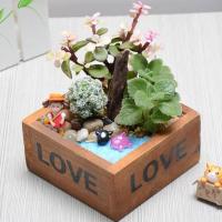 （植物+盆）可爱多肉组合盆栽套装微景观苔藓生态瓶创意迷你盆栽植物diy礼物生活日用园艺用品花卉绿植盆栽