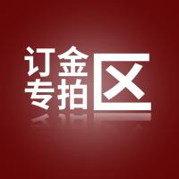 定金差价运费邮费链接 定金专拍 差多少拍多少数量