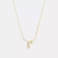 蔻驰(COACH)Coach经典挂 tag心形吊坠项链时尚百搭配饰女性链式吊坠